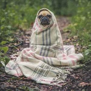 Personalized Store Pages